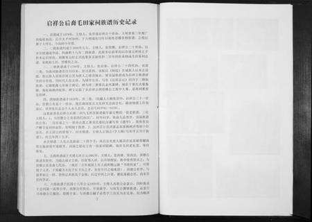 湖南张氏族谱-张氏族谱. 啓祥公后裔高村家词高村支.pdf电子版预览图5