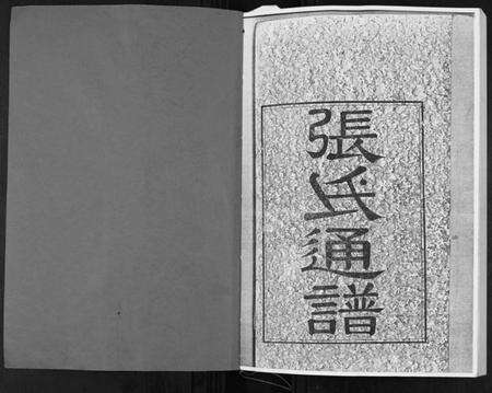 湖南张氏族谱-张氏通谱.pdf电子版预览图1