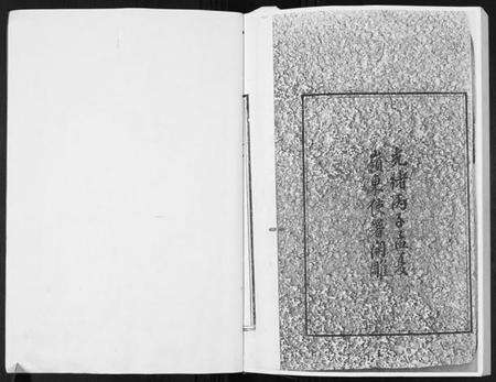 湖南张氏族谱-张氏通谱.pdf电子版预览图2