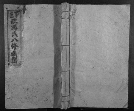 江西欧阳氏族谱-于邑新陂欧阳氏八修族谱.pdf电子版缩略图