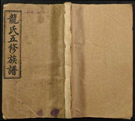 湖北龙氏族谱-武陵龙氏五修族谱.pdf电子版缩略图