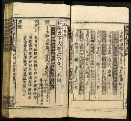 湖北龙氏族谱-武陵龙氏五修族谱.pdf电子版预览图3