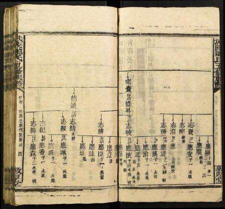 湖北龙氏族谱-武陵龙氏五修族谱.pdf电子版预览图5