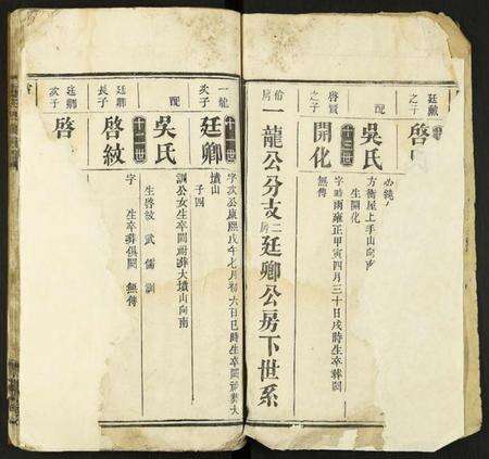 中国卢氏族谱-卢氏四修族谱.pdf电子版预览图2