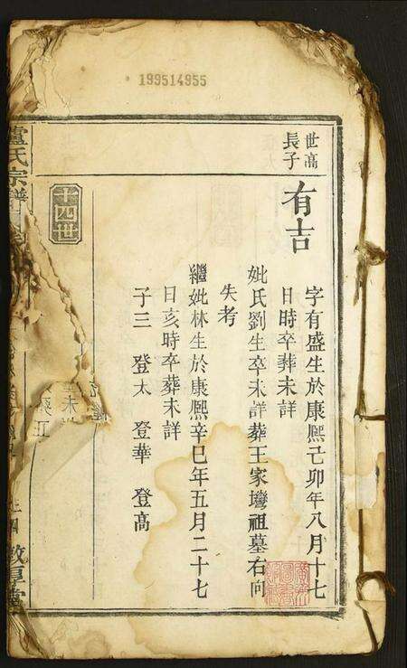 中国卢氏族谱-卢氏宗谱.pdf电子版预览图1