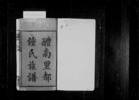 湖南锺氏族谱-醴南里都锺氏族谱 [4卷,含卷首].pdf电子版预览图2