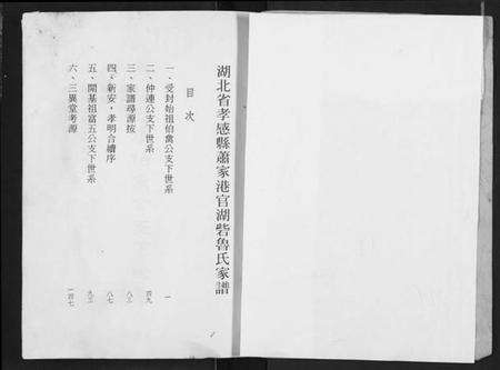 湖北鲁氏族谱-鲁氏家谱.pdf电子版预览图2