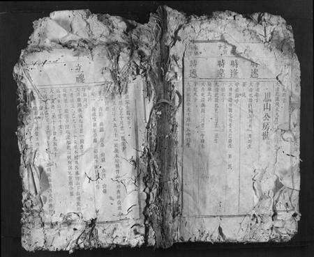 江西邱氏族谱-宁都杨眉亨邱氏房谱.pdf电子版缩略图