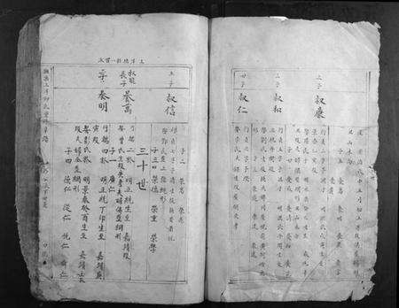 江西邱氏族谱-抚乐上洋邱氏重修草谱.pdf电子版预览图4