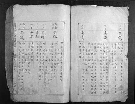 江西邱氏族谱-抚乐上洋邱氏重修草谱.pdf电子版预览图5