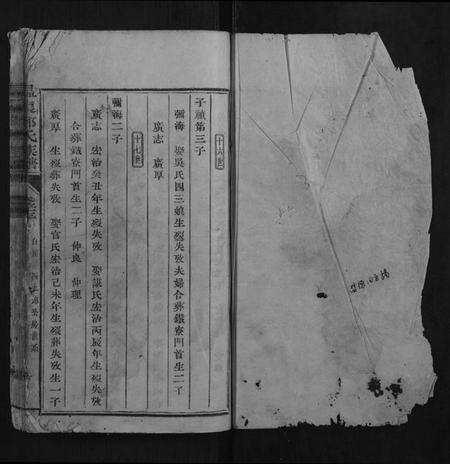 江西邱氏族谱-温泉邱氏族谱.pdf电子版预览图1