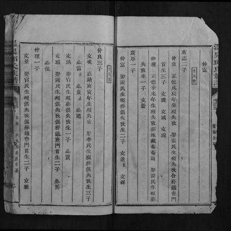 江西邱氏族谱-温泉邱氏族谱.pdf电子版预览图2