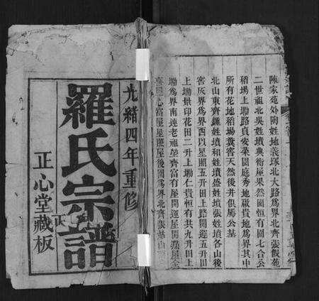 湖北罗氏族谱-罗氏宗谱[10卷首2卷].pdf电子版缩略图