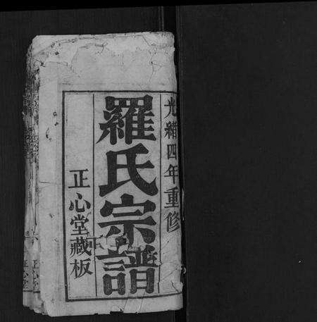 湖北罗氏族谱-罗氏宗谱[10卷首2卷].pdf电子版预览图1