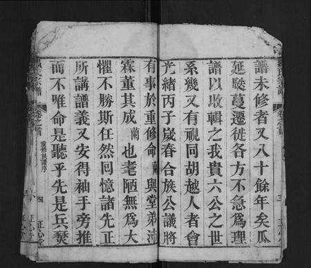 湖北罗氏族谱-罗氏宗谱[10卷首2卷].pdf电子版预览图5