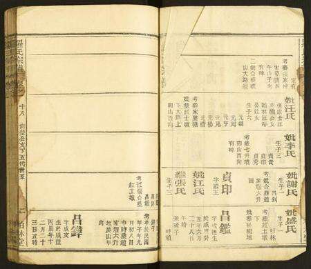 湖北罗氏族谱-罗氏宗谱.pdf电子版预览图2