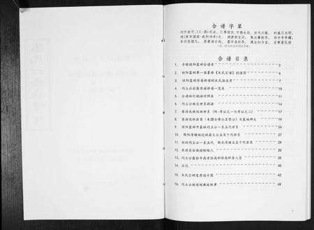 湖南朱氏族谱-朱氏六修族谱[不分卷].pdf电子版预览图2