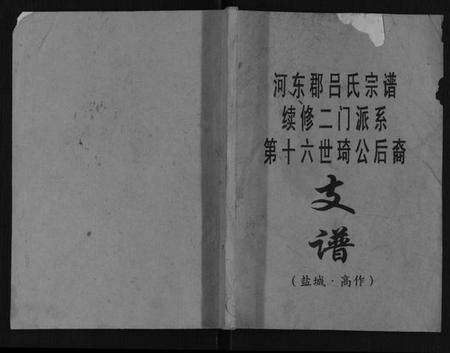 江苏吕氏族谱-吕氏宗谱.pdf电子版缩略图
