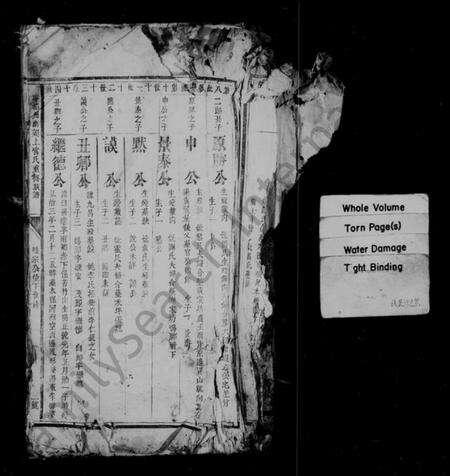 江西上官氏族谱-宁都州南郊上官氏重修族谱 [残卷].pdf电子版预览图2