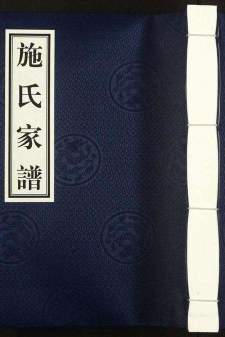 江西施氏族谱-施氏族谱.pdf电子版缩略图