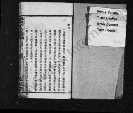 江西师氏族谱-东山师氏族谱 [残卷].pdf电子版预览图2