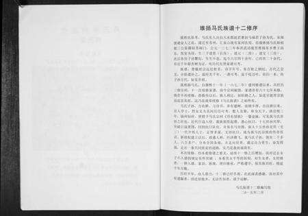 江苏马氏族谱-马氏族谱[不分卷].pdf电子版预览图4