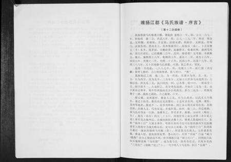 江苏马氏族谱-马氏族谱[不分卷].pdf电子版预览图5