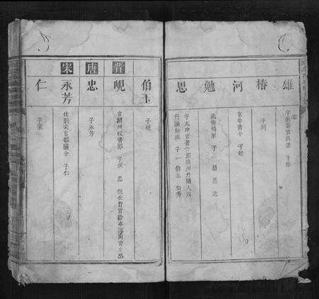 湖南左氏族谱-沧潣左氏城坑支谱[3卷].pdf电子版预览图2