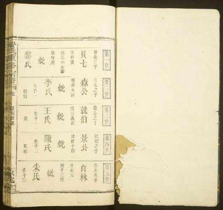 江西舒氏族谱-舒氏重修宗谱.pdf电子版预览图1