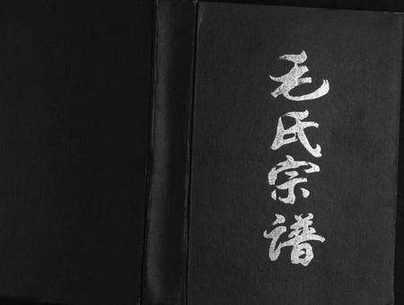 江苏毛氏族谱-毛氏宗谱[上下编].pdf电子版缩略图