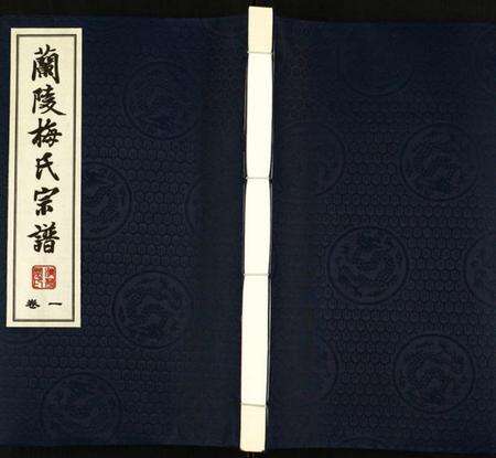 江苏梅氏族谱-梅氏宗谱.pdf电子版缩略图