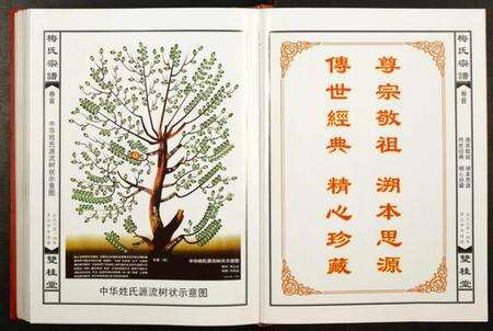 湖北梅氏族谱-梅氏宗谱.pdf电子版预览图2