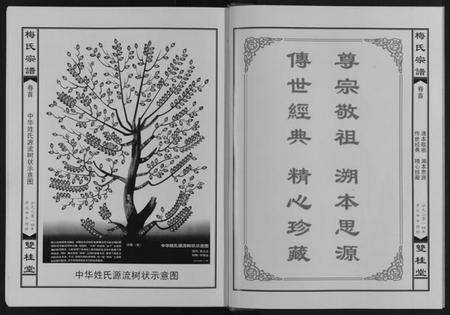 湖北梅氏族谱-梅氏宗谱.pdf电子版预览图2