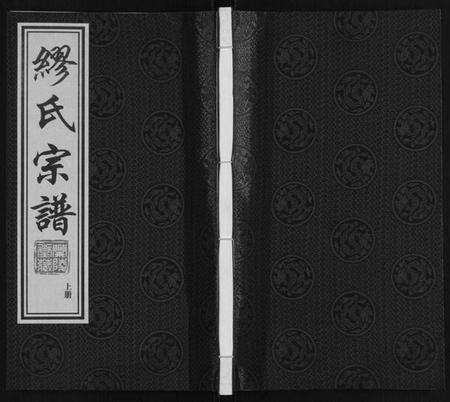 江苏缪氏族谱-缪氏宗谱[上下册].pdf电子版缩略图