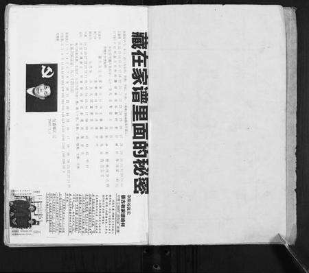 江苏倪氏族谱-盐城新兴倪氏宗谱.pdf电子版预览图2