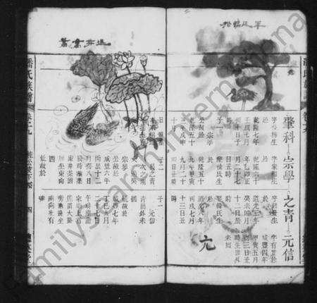 中国潘氏族谱-潘氏族谱 [残卷].pdf电子版预览图4