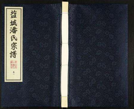 江苏潘氏族谱-潘氏宗谱.pdf电子版缩略图