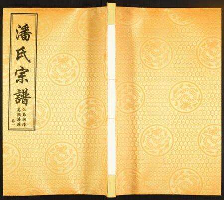 江苏潘氏族谱-潘氏宗谱.pdf电子版缩略图