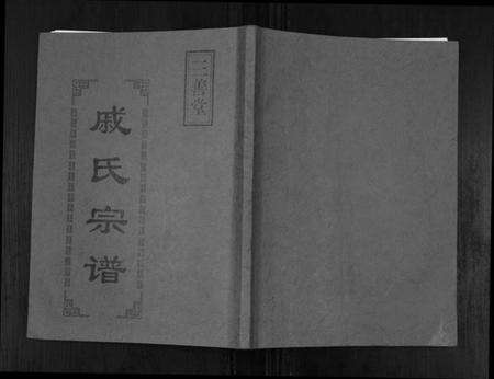 江苏戚氏族谱-戚氏宗谱[不分卷].pdf电子版缩略图