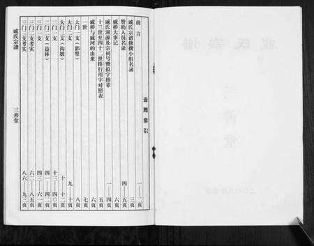 江苏戚氏族谱-戚氏宗谱[不分卷].pdf电子版预览图2