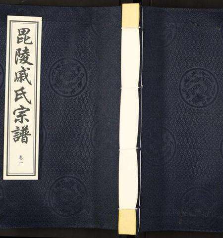 江苏戚氏族谱-毗陵·戚氏宗谱.pdf电子版缩略图