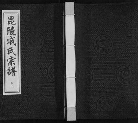 江苏戚氏族谱-毘陵戚氏宗谱[12卷].pdf电子版缩略图