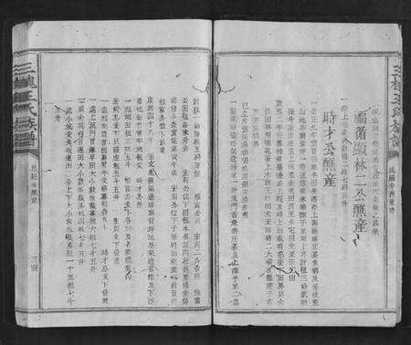 江西王氏族谱-三槐王氏族谱.pdf电子版预览图5