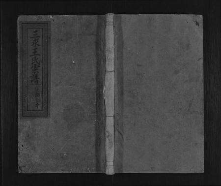 江西王氏族谱-三求王氏宗谱.pdf电子版缩略图