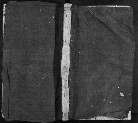 江西王氏族谱-柿村王氏族谱[2卷].pdf电子版缩略图