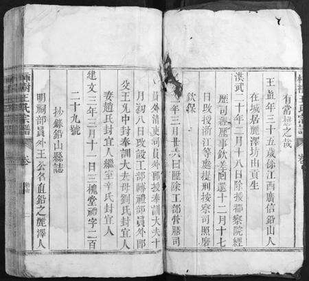 江西王氏族谱-柿村王氏族谱[2卷].pdf电子版预览图2