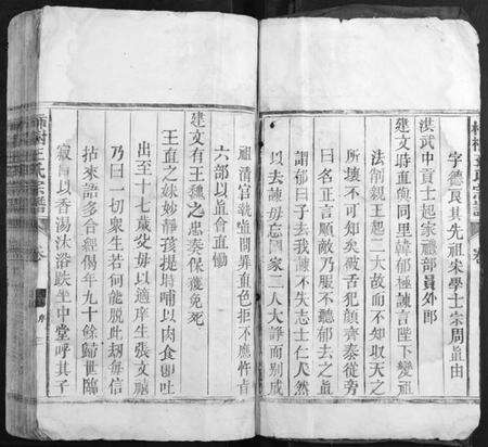 江西王氏族谱-柿村王氏族谱[2卷].pdf电子版预览图3