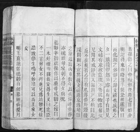 江西王氏族谱-柿村王氏族谱[2卷].pdf电子版预览图4