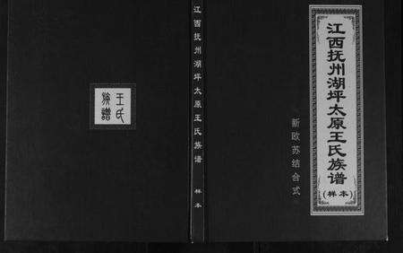 江西王氏族谱-江西抚州湖坪太原王氏族谱.pdf电子版缩略图