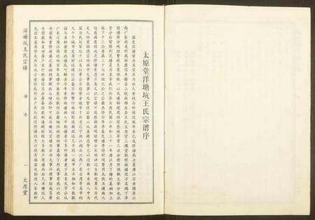 江西王氏族谱-洋塘坑王氏宗谱.pdf电子版预览图3